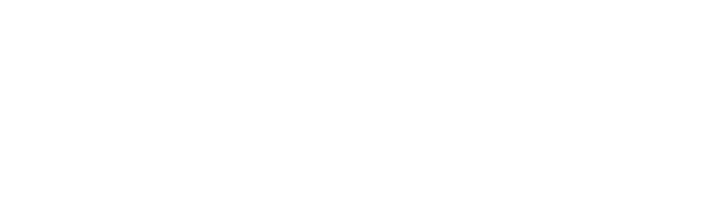 Elisson Fernandes — versão clara