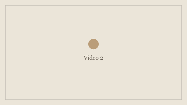 Vídeo 2