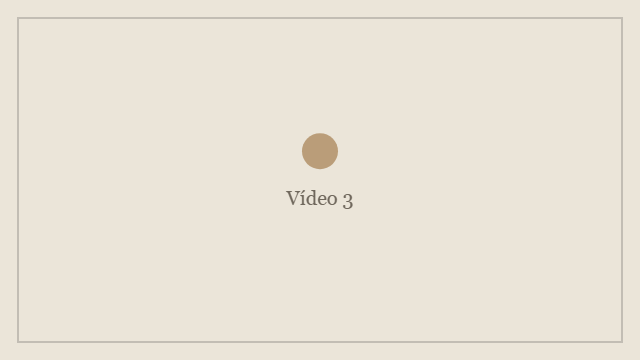 Vídeo 3